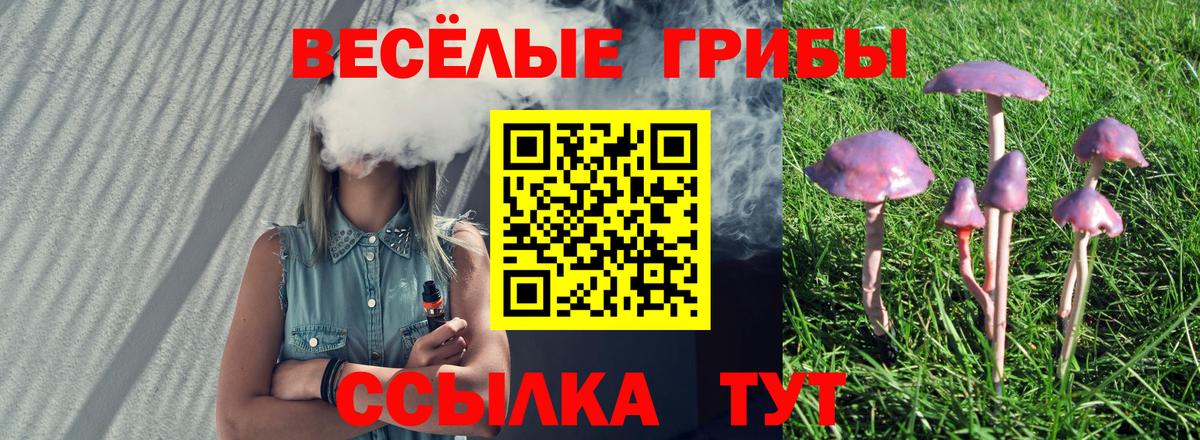 Псилоцибиновые грибы MAGIC MUSHROOMS  Псилоцибиновые грибы ЛСД  Вход с VPN  Златоуст 